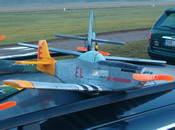 P-51 Mustang Rosti tpiny.