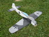 FW-190 Mirka Kozla.